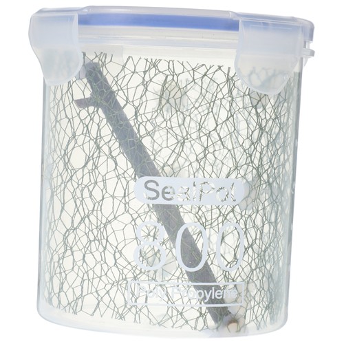 Praying mantis breeding box - praying,