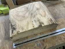 Spalted Elm Bowl Blank Wood