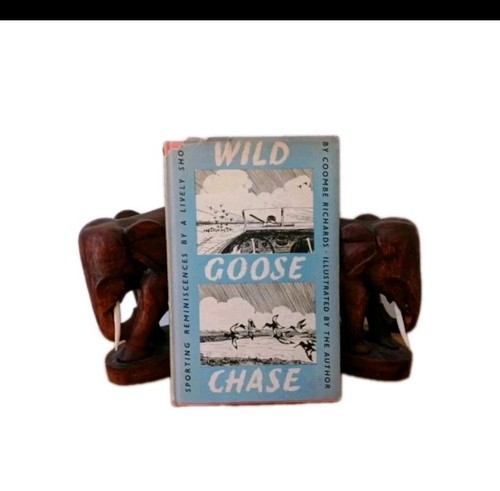 Wild goose chase being - goose, the