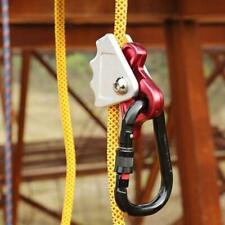 Tree Arborist Rock Climbing