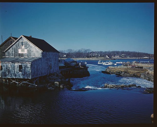 Shown photo are - shown,