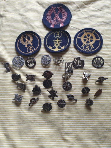 Polish badge - ,