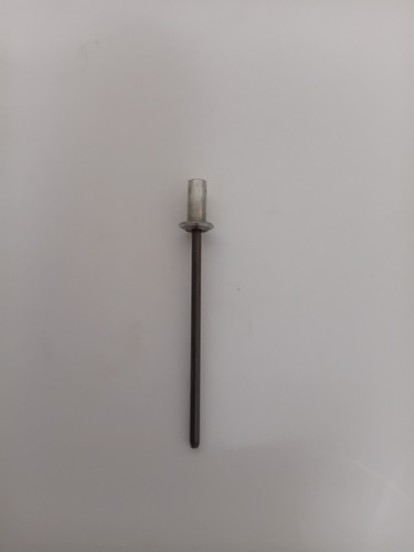 1000 pop rivets dome top - top, blind