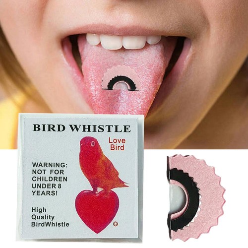 Bird whistles caller - bird,