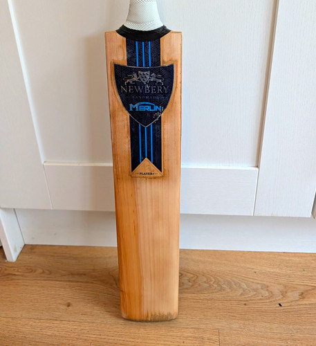 Newbery merlin player - merlin, 1