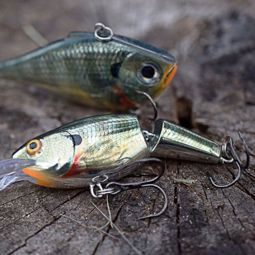 Rapala jointed shad rap lure - shad,