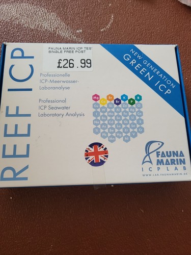 Fauna marin reef - fauna, icp