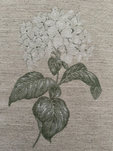 Laura ashley heligan - heligan, natural