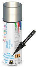 Direct Gloss Shine Spray