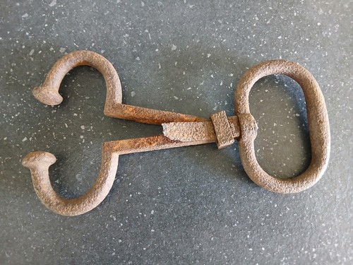 Antique vintage cattle - vintage,