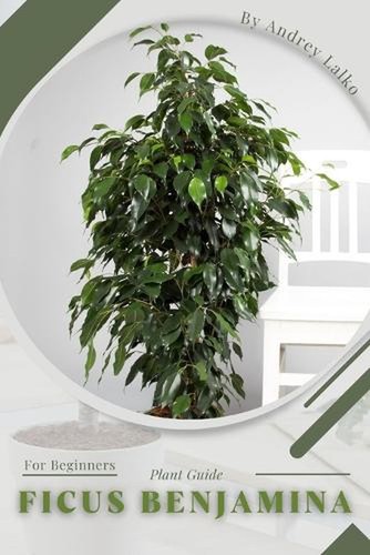 Ficus benjamina plant guide - ficus,