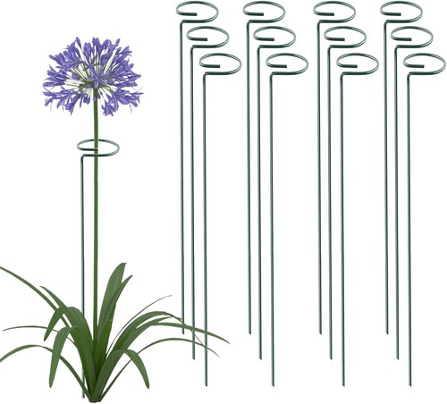 90cm single stem plant - 45/60/90cm,