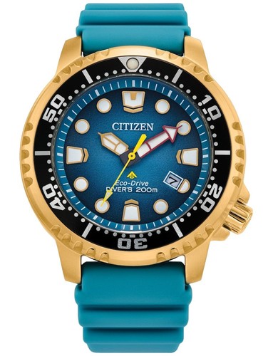 New citizen promaster - new,