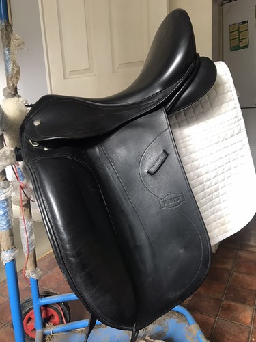 Monarch dressage saddle - monarch,
