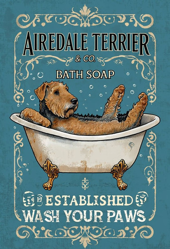 Airedale terrier bath - terrier,