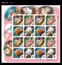 Marine Life,Wildlife,Coral Reefs,Nature,ocean ecosystem,Korea 2019 sheet