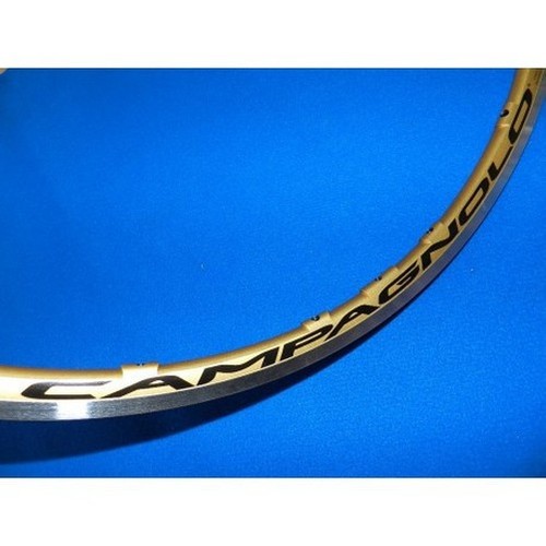 Front wheel shamal - front,