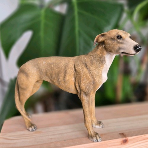 Leonardo collection whippet - collection,