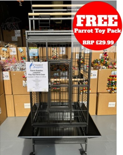Parrot supplies lakeland play - parrot-supplies,
