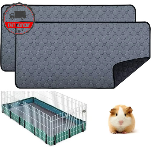 Guinea pig cage - pig, lining