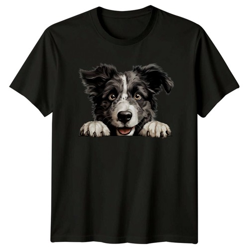 Cute border collie - dog, head