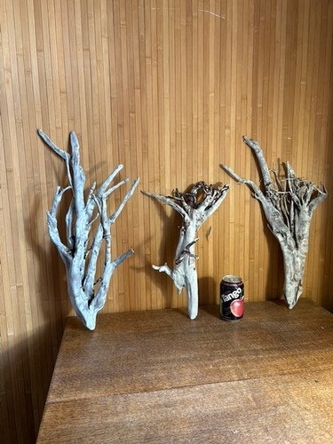 Driftwood tall silver - ,