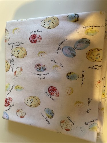 Birds eggs makeover - eggs, fat