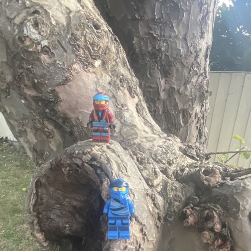 Ninjago characters jay - ninjago, &