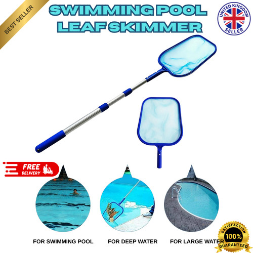 Swimming pool debris leaf - pool,