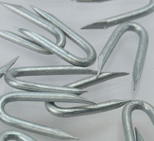 Galvanised staples nails - galvanised,