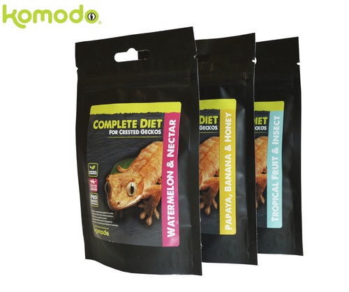 Komodo complete crested gecko - complete,