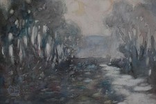 EARLY MORNING FOREST