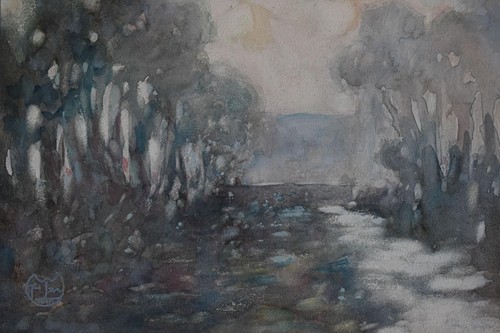 Early morning forest - early,