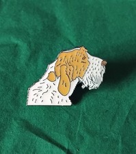 Italian Spinone Pin Badge 25mm