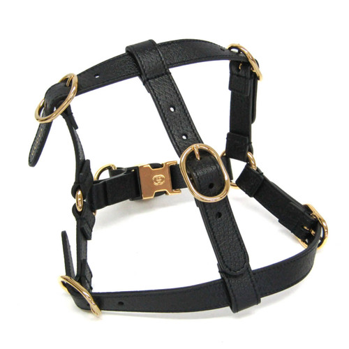 Gucci interlocking pet - gucci, g