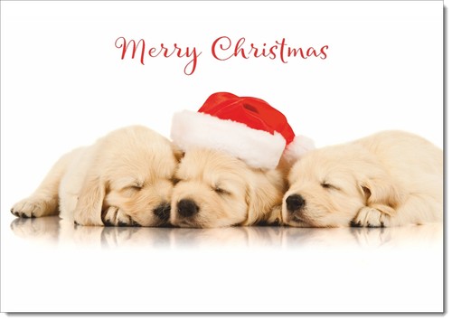 Doodlecards merry christmas - merry,