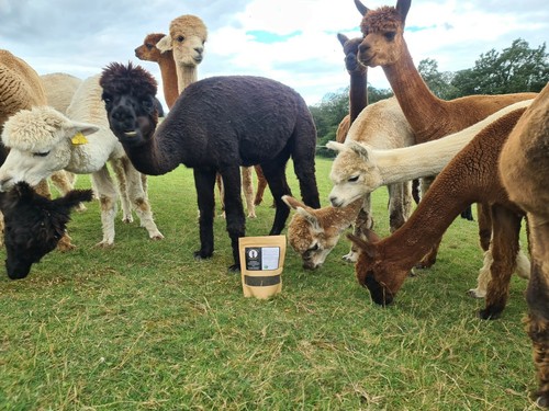 Alpaca manure fertiliser - alpaca,