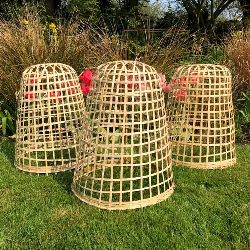Bamboo bell cloches garden - bamboo,