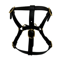 Gucci Leather Pet Harness For
