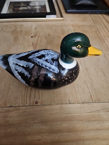 Michel cougant mallard duck - michel,