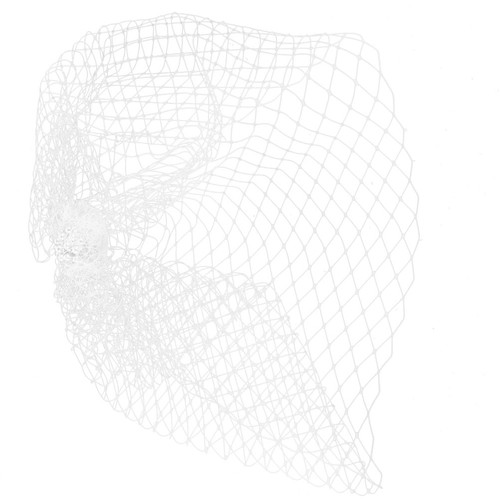 Birdcage veil wedding bride - wedding,
