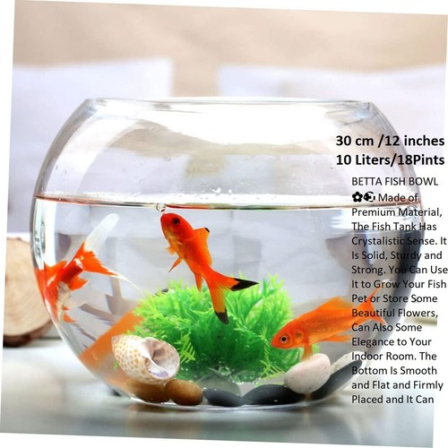 Glass handmade large fish - xl,