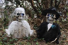Skeleton bride and - and, groom