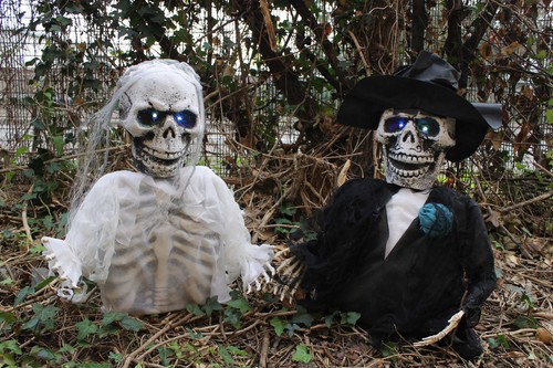 Skeleton bride and - skeleton,