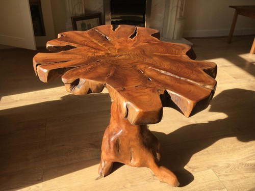 Eye catching tree root coffee - tree,