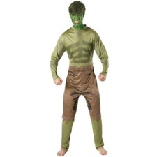 Offical Marvel Hulk Adults
