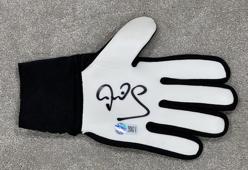 Peter schmeichel hand - peter,