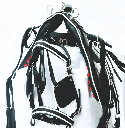 Premium horse driving harness - driving,