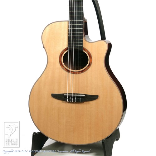 Yamaha ntx3 - ntx3, (2025)