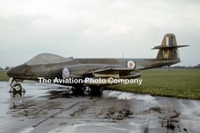 RAF Gloster Meteor F.8 WH303